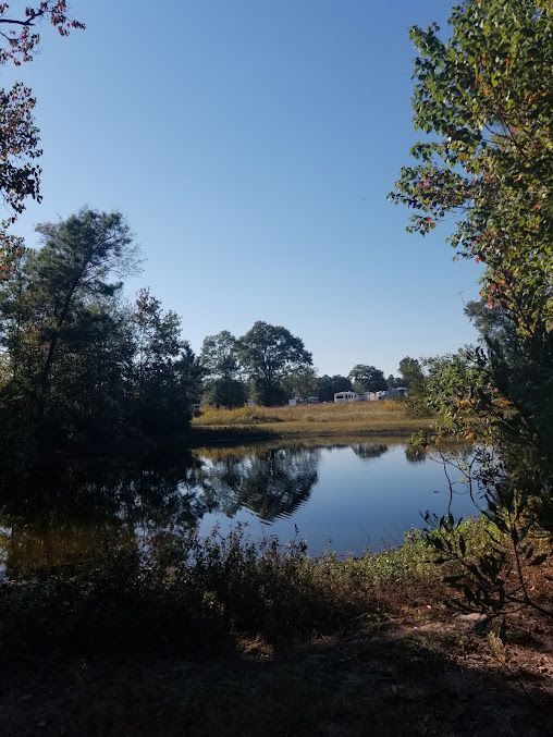 Man fishing from a folding chair beside a calm pond with RVs and trees in the background