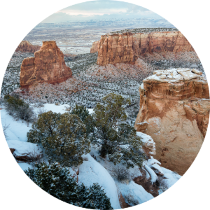 Snowy canyon with red rock cliffs and shrubs beneath a cloudy sky