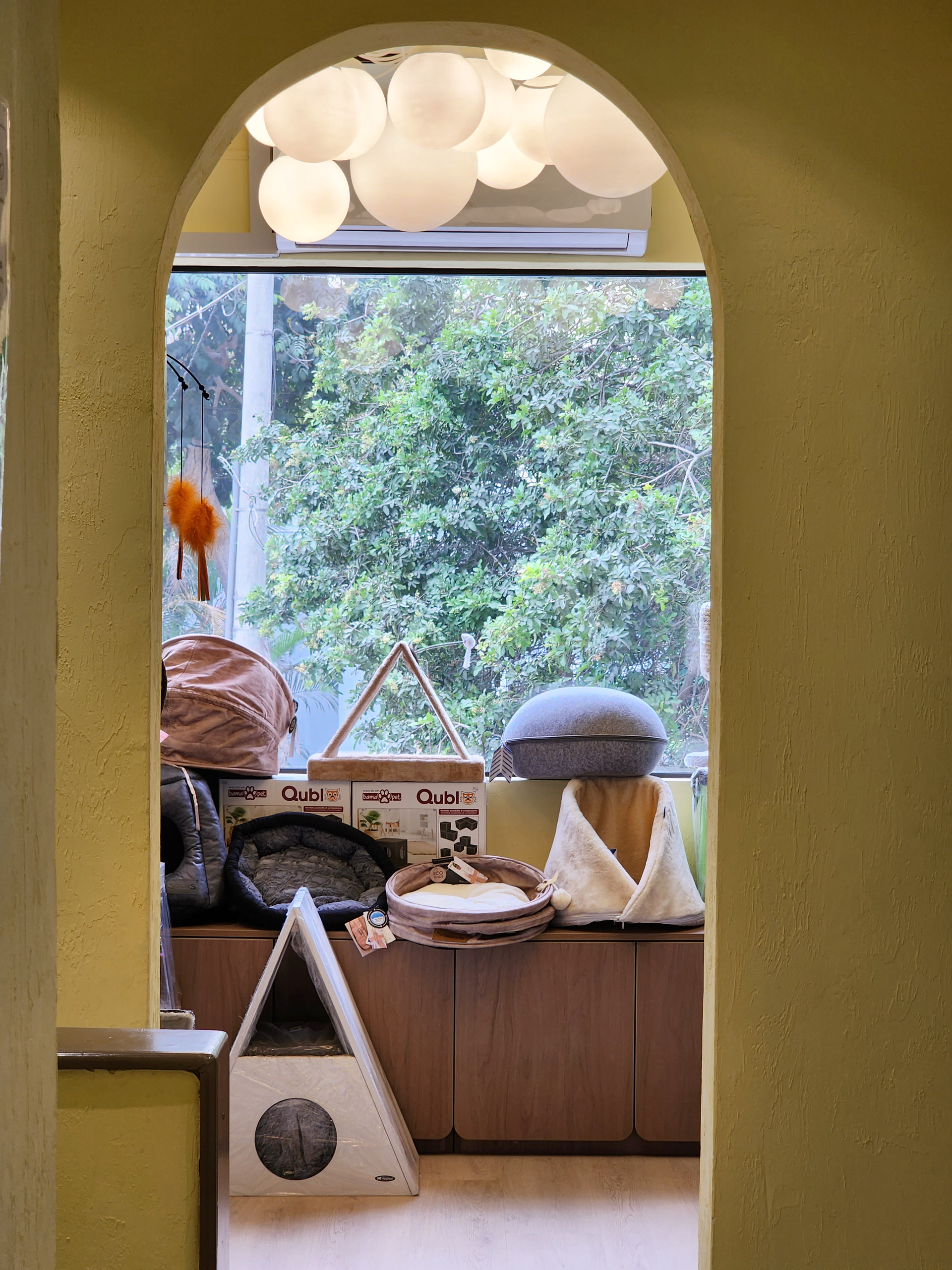 Un gato está sentado en un banco frente a una ventana.