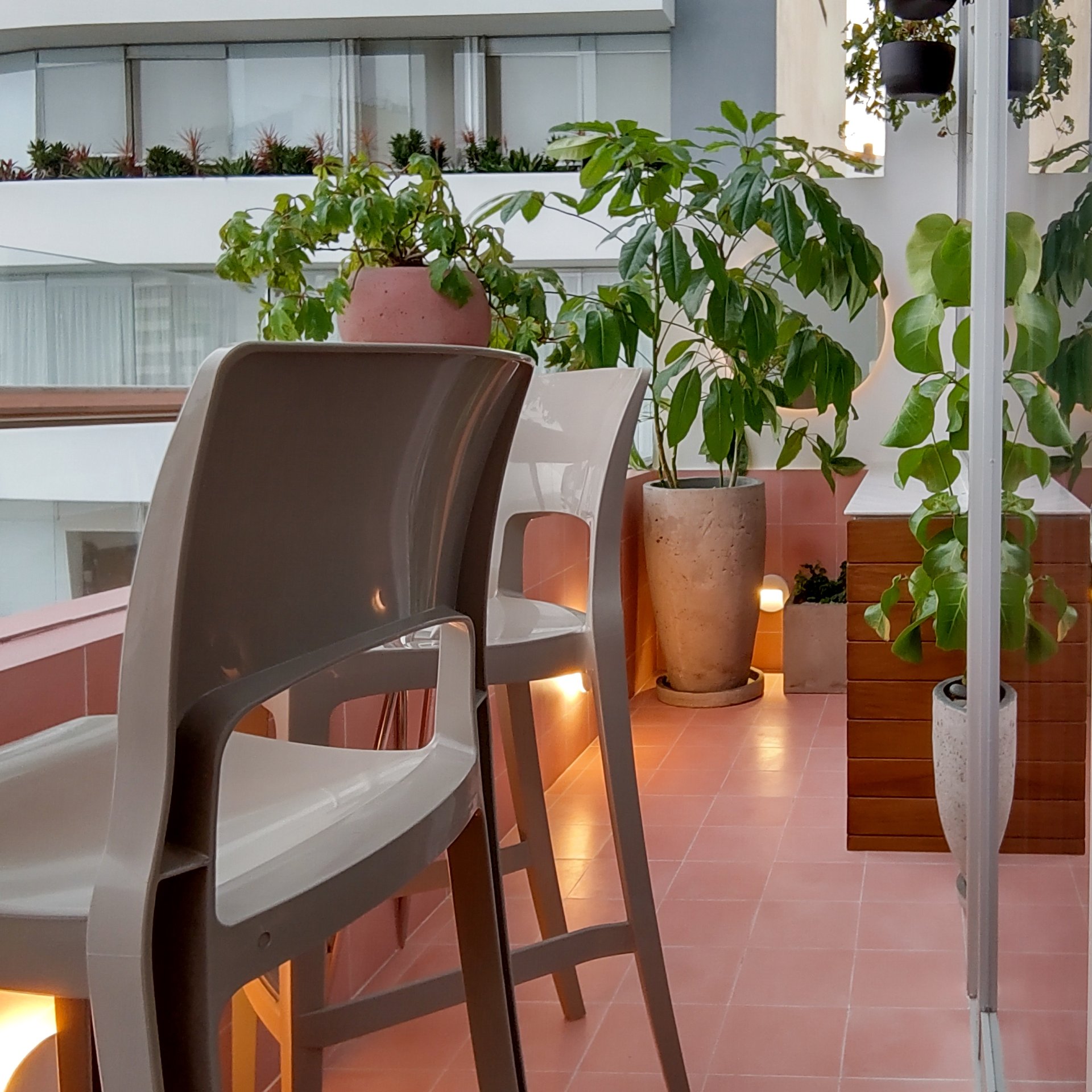 Una fila de sillas en un balcón con plantas en macetas.