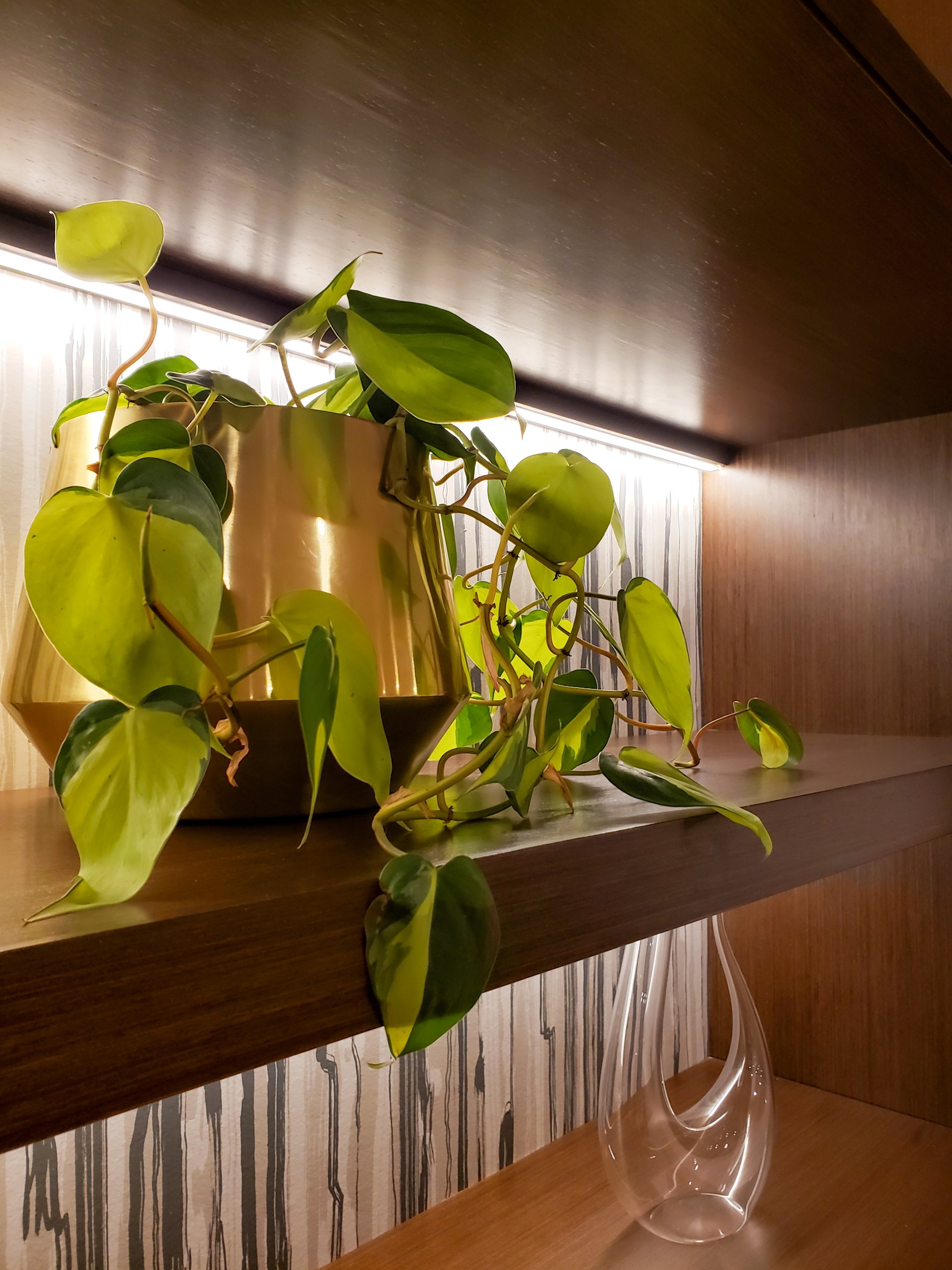 Una planta en maceta está colocada en un estante de madera al lado de un jarrón de cristal.