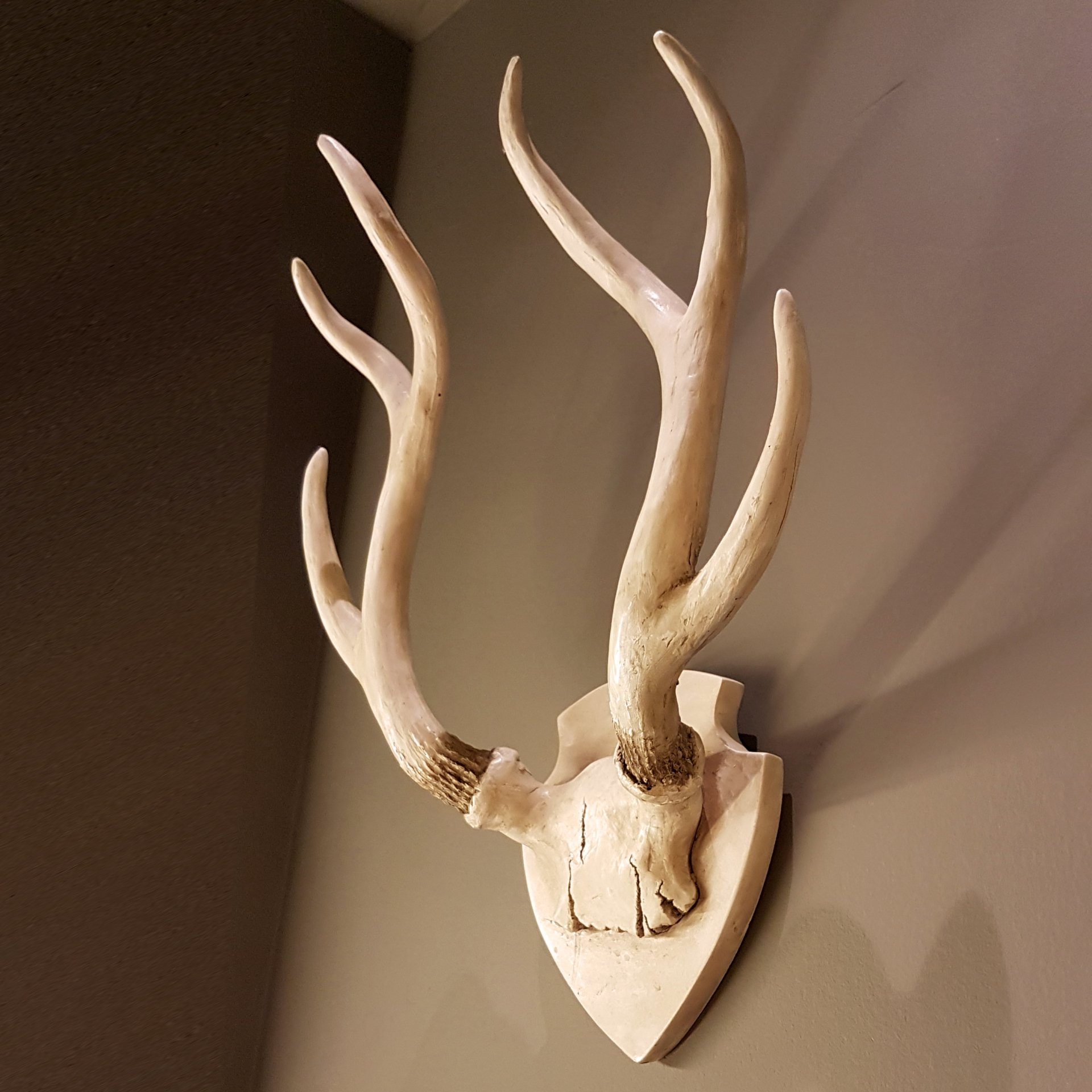 Una cornamenta de ciervo colgada en una pared con la letra L en ella