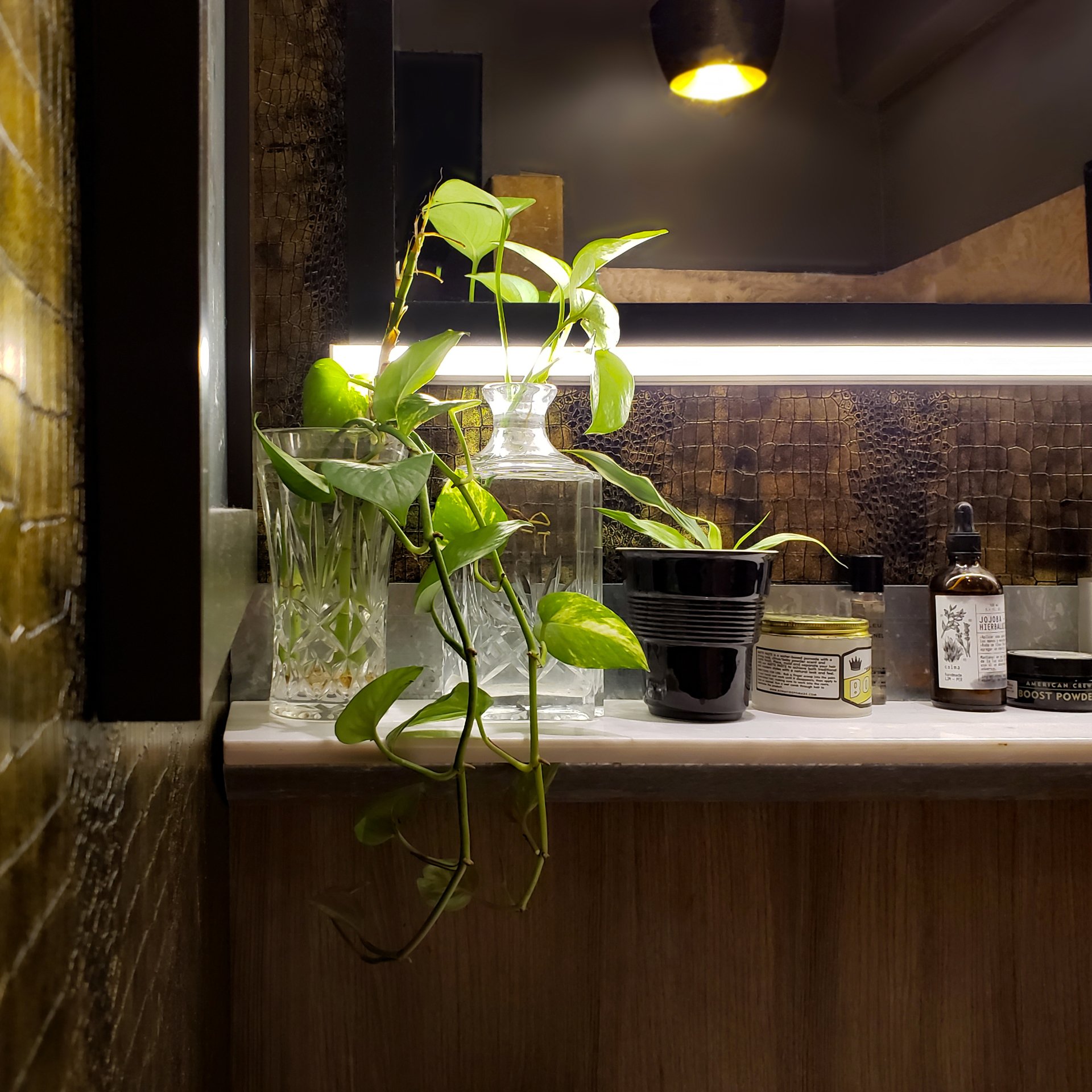 Un baño con un estante con plantas en macetas y botellas.