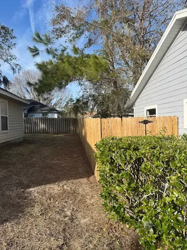 Backyard with wooden fence, two houses, and a green shrub under a blue sky.