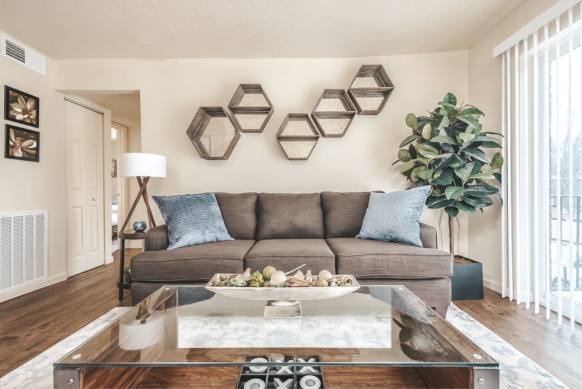 Bright living room with gray sofa, glass coffee table, hexagonal wall decor, and large window blinds