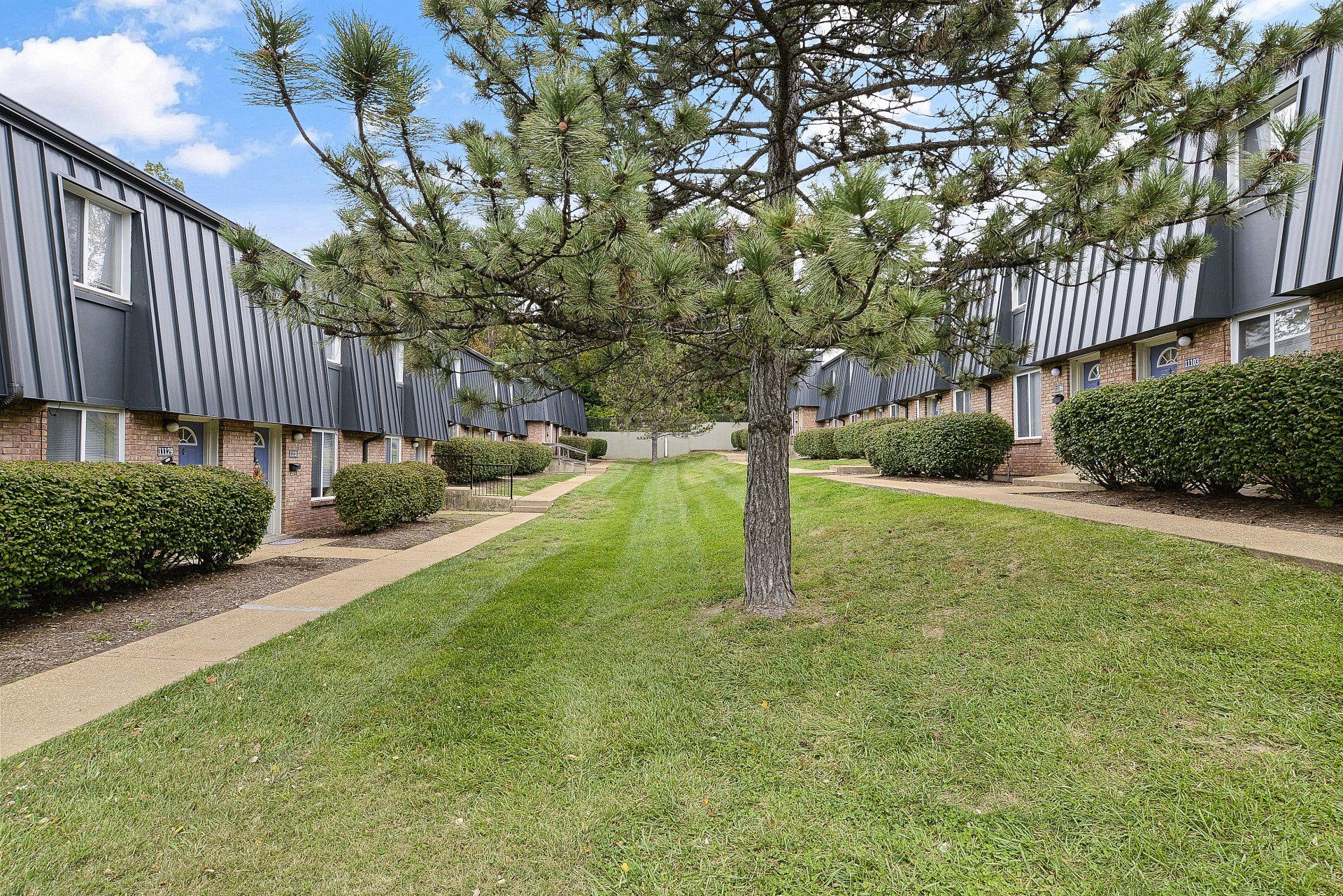 Courtyard with a grassy median, tree, and rows of apartment buildings on both sides
