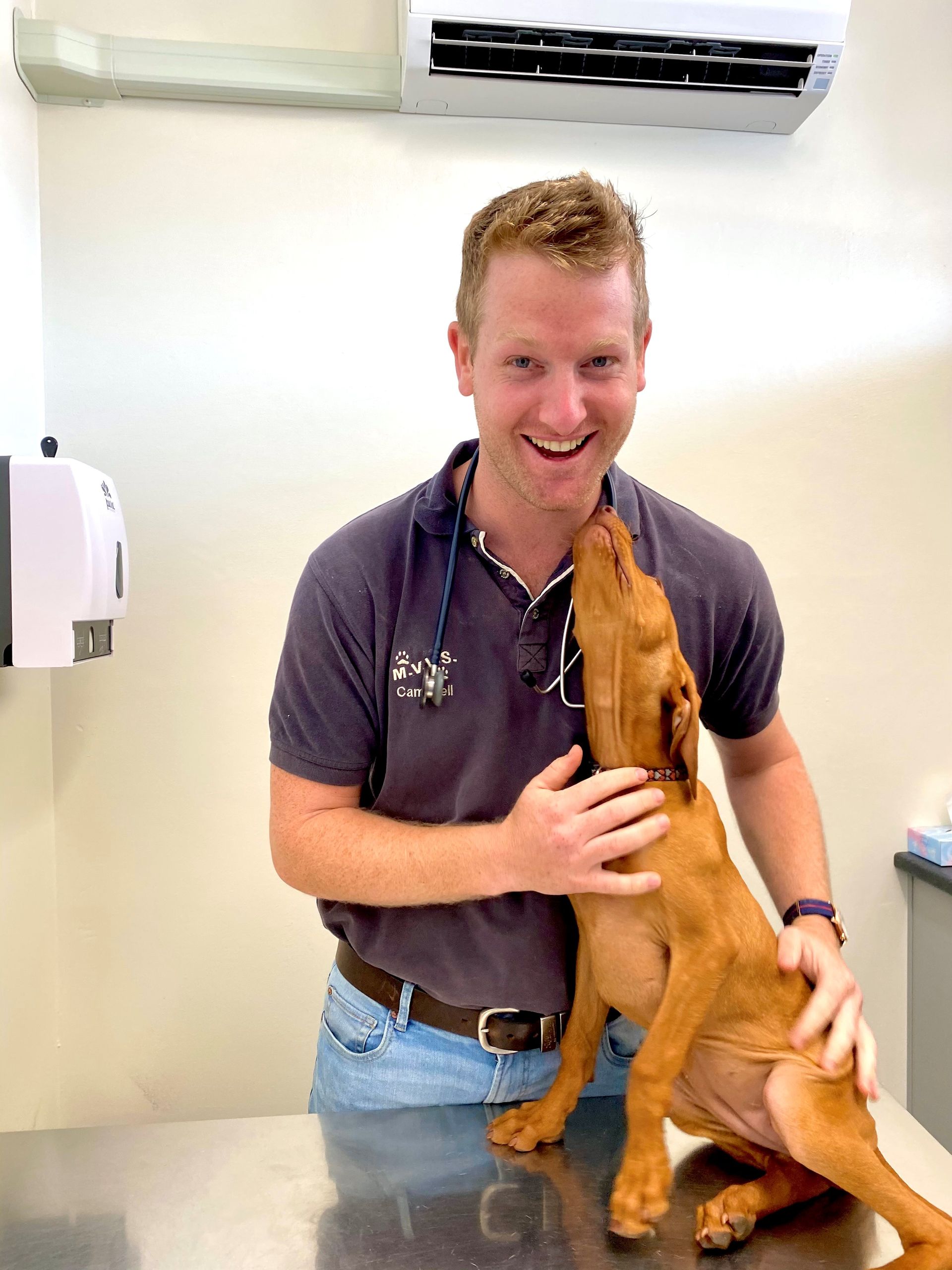 About Us Macleay Valley Veterinary Services