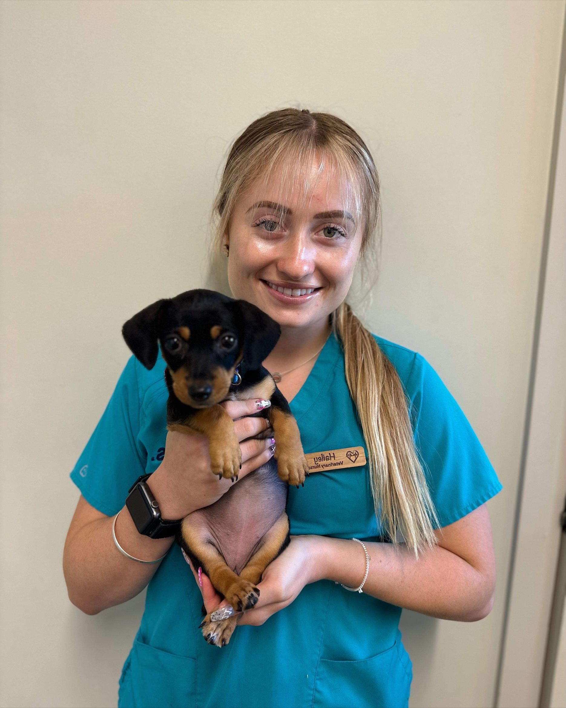 About Us Macleay Valley Veterinary Services