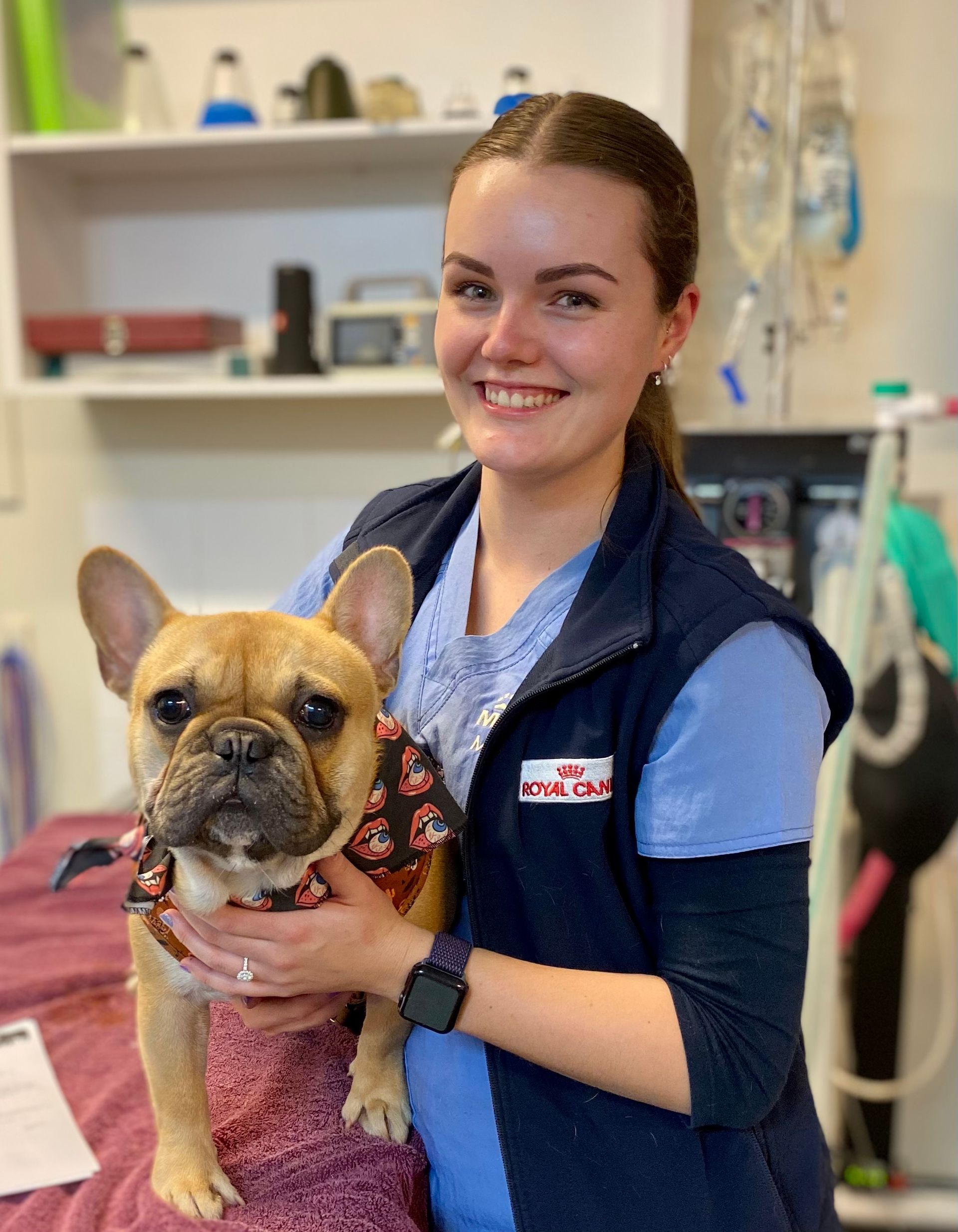 About Us Macleay Valley Veterinary Services