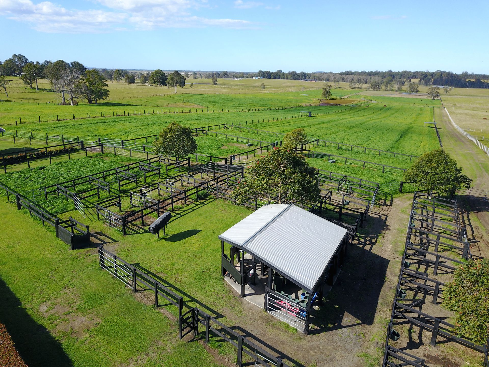 Green Grass Field with Wooden Fences — Horse Breeding Kempsey, NSW