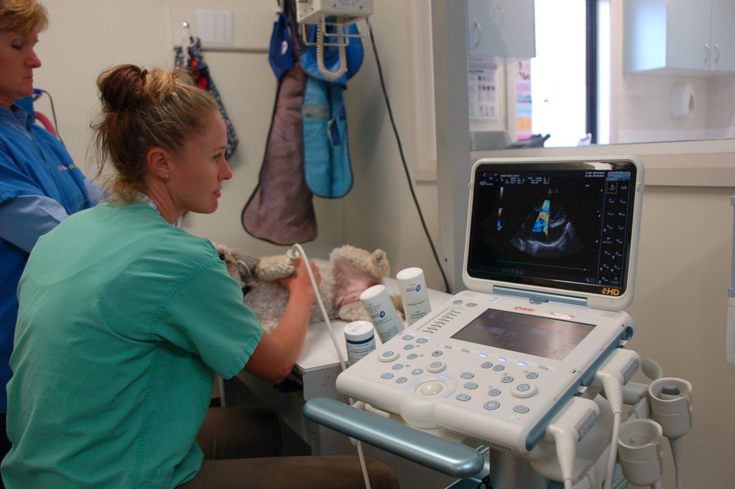 Female Veterinarian doing Ultrasound — Vet Hospital Kempsey , NSW