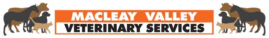 Macleay Valley Veterinary Services—Visit Our Veterinary Clinic in Kempsey Macleay Valley Veterinary Services—Visit Our Veterinary Clinic in Kempsey