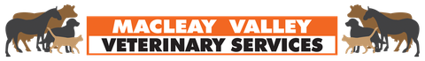 Macleay Valley Veterinary Services—Visit Our Veterinary Clinic in Kempsey