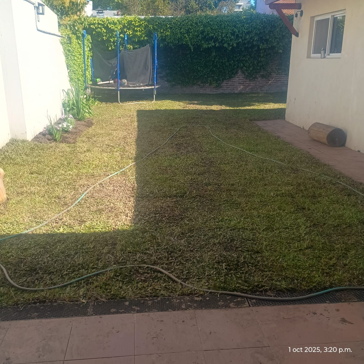 Un estrecho jardín trasero entre dos edificios, con un columpio a la sombra en el extremo opuesto.
