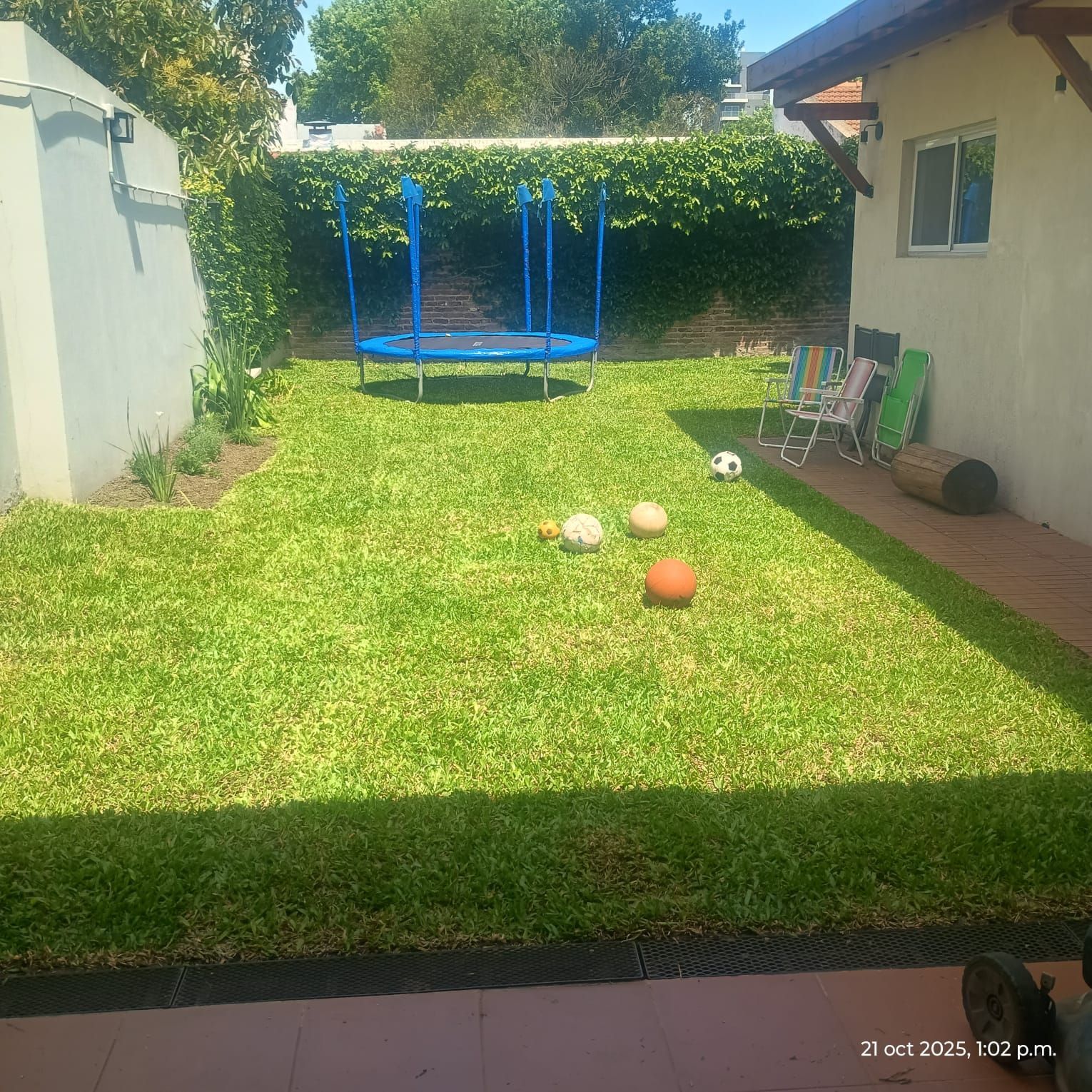 Un patio trasero soleado con un trampolín azul, pelotas esparcidas y sillas junto a la casa.