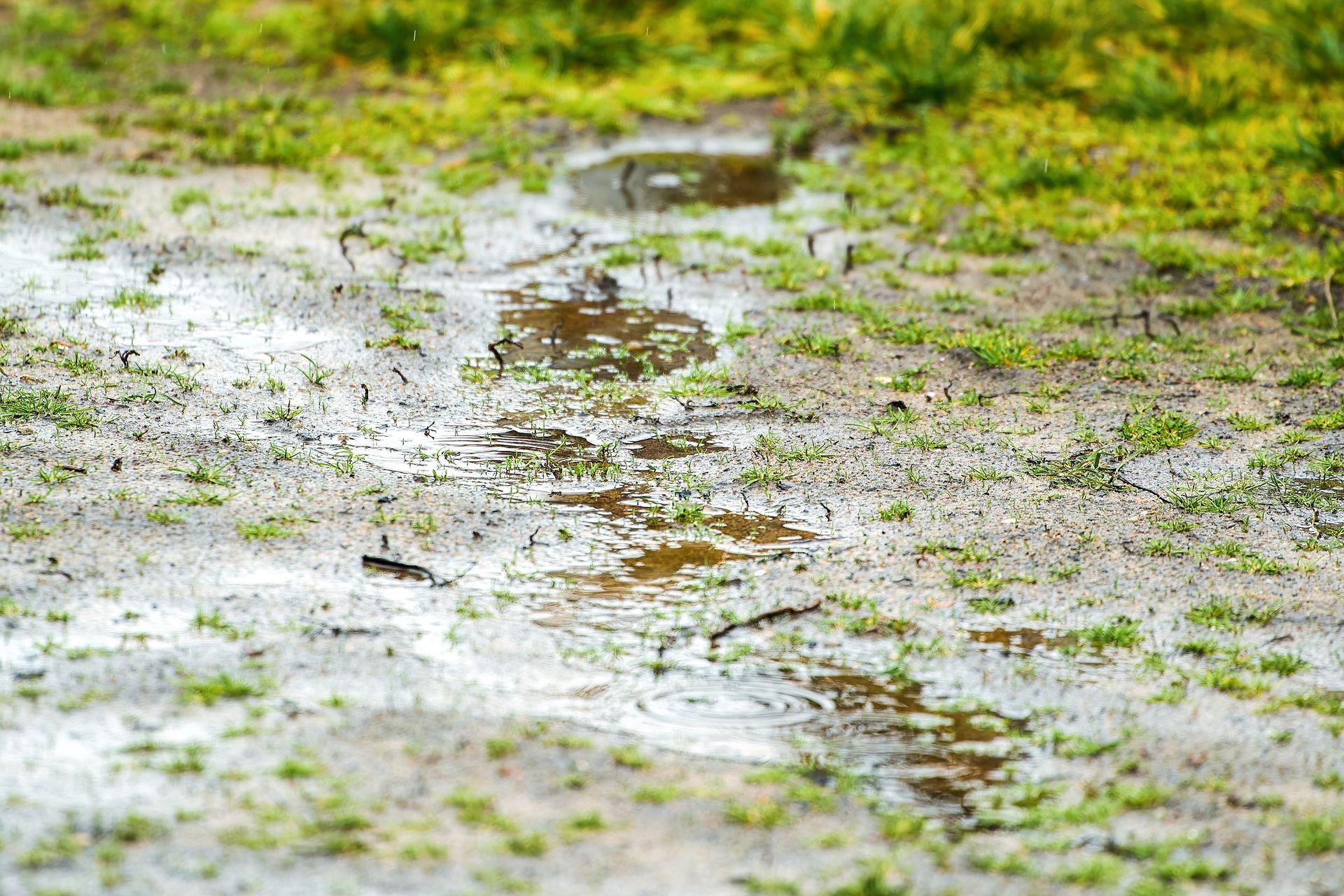 Rainwater pooling on a muddy path with green moss and grass patches