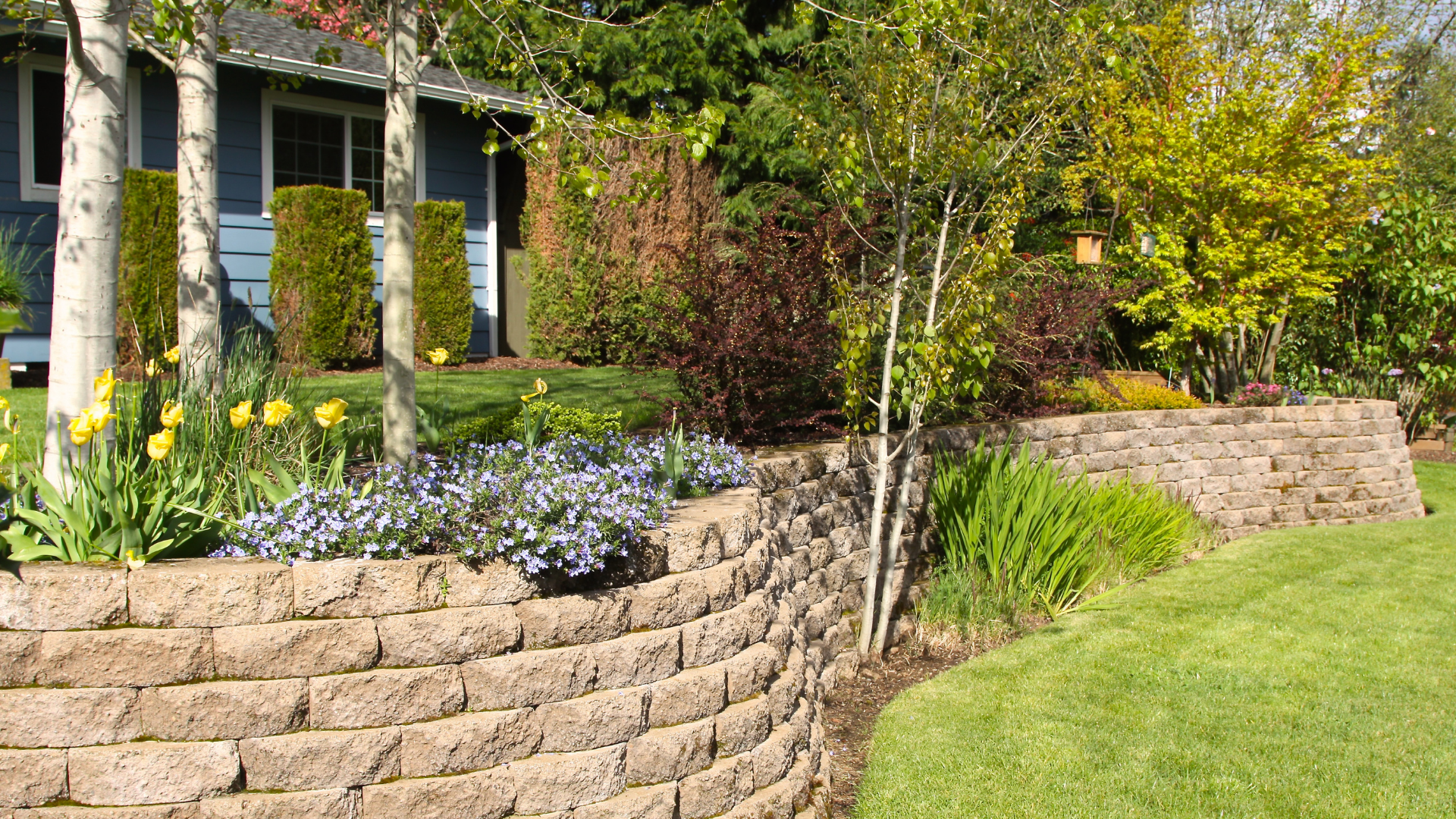 Stone garden retaining wall with purple flowers, shrubs, and a green lawn in front of a house