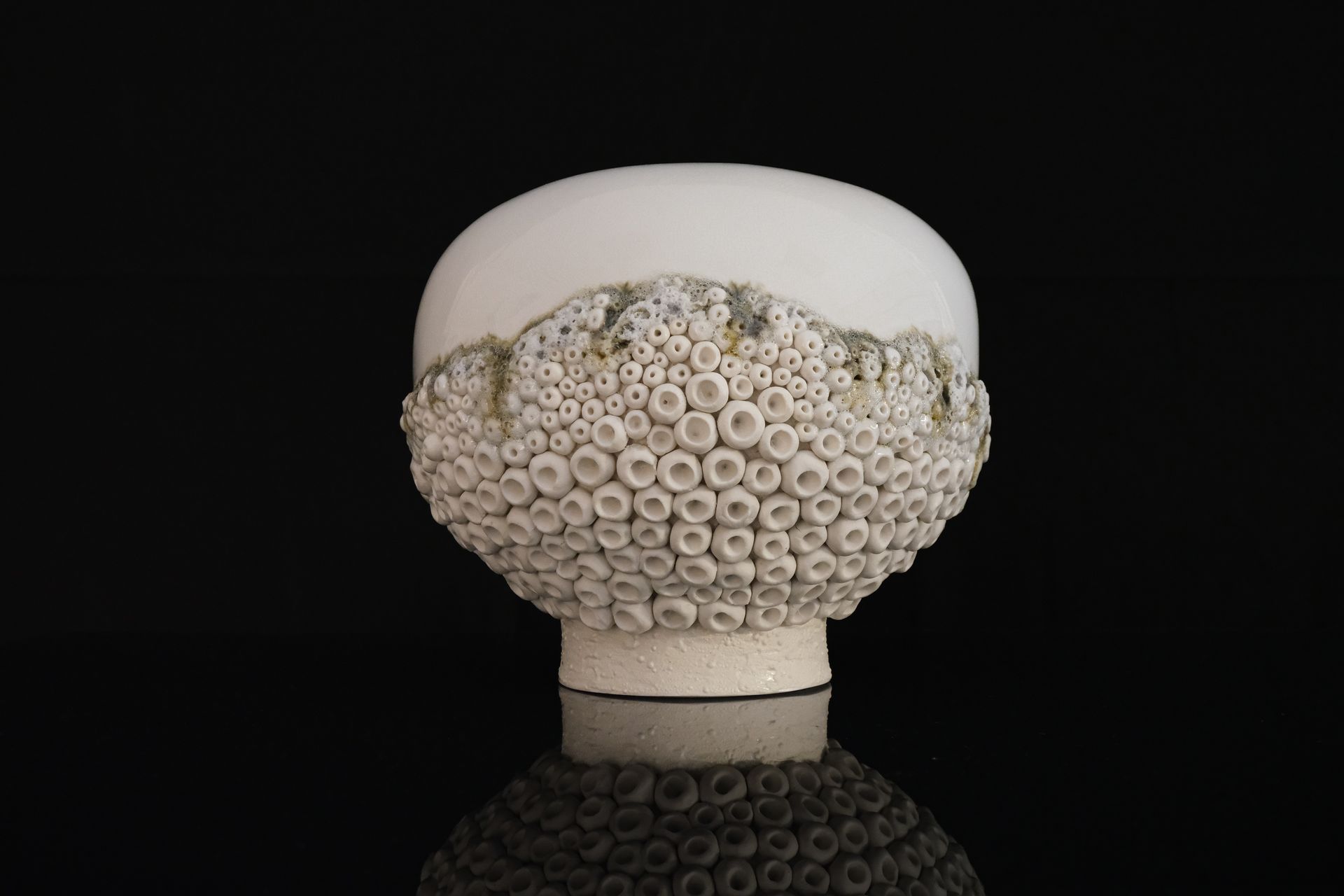 Tucusito Studio Marine Collection