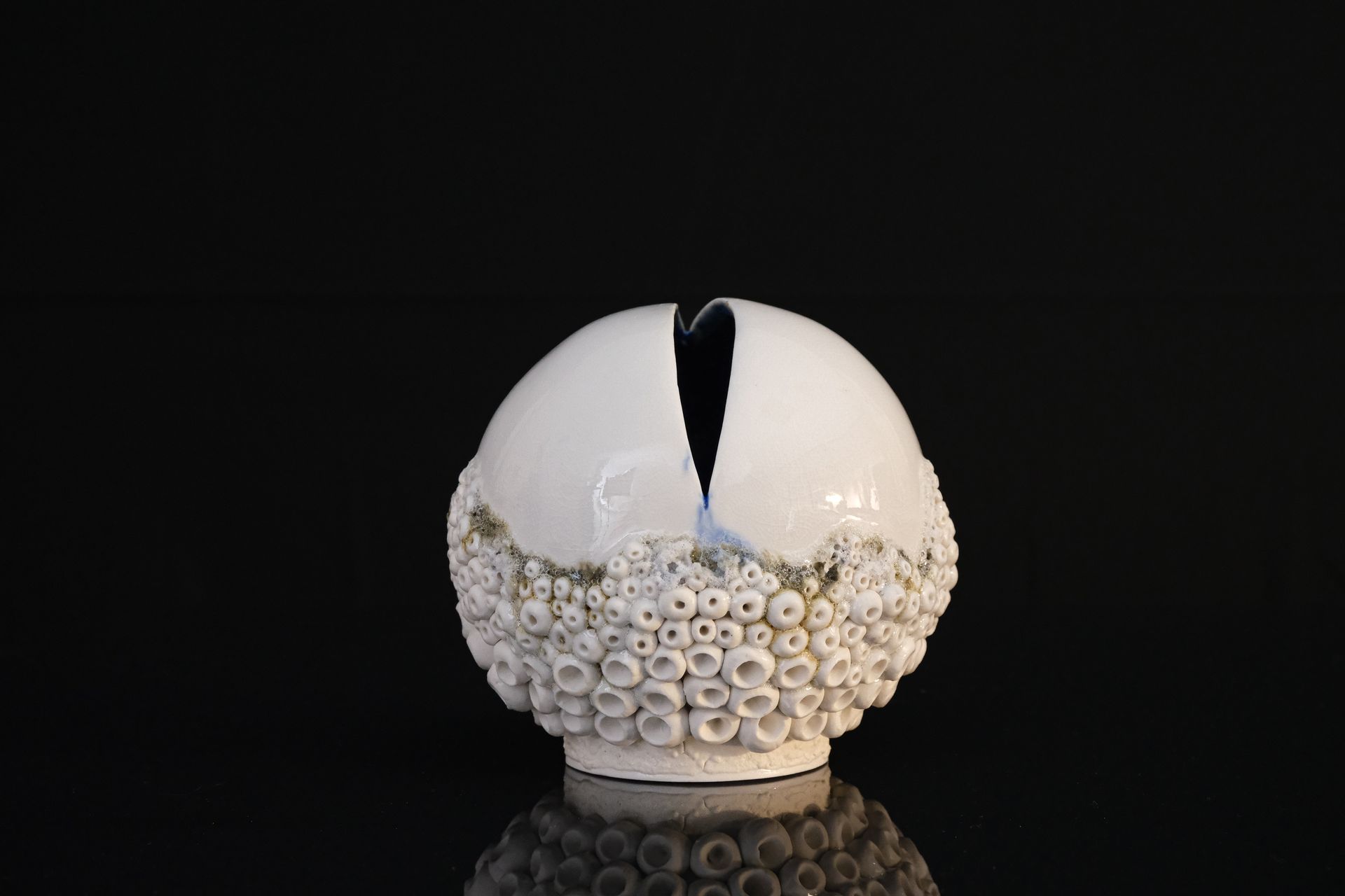 Tucusito Studio Marine Collection