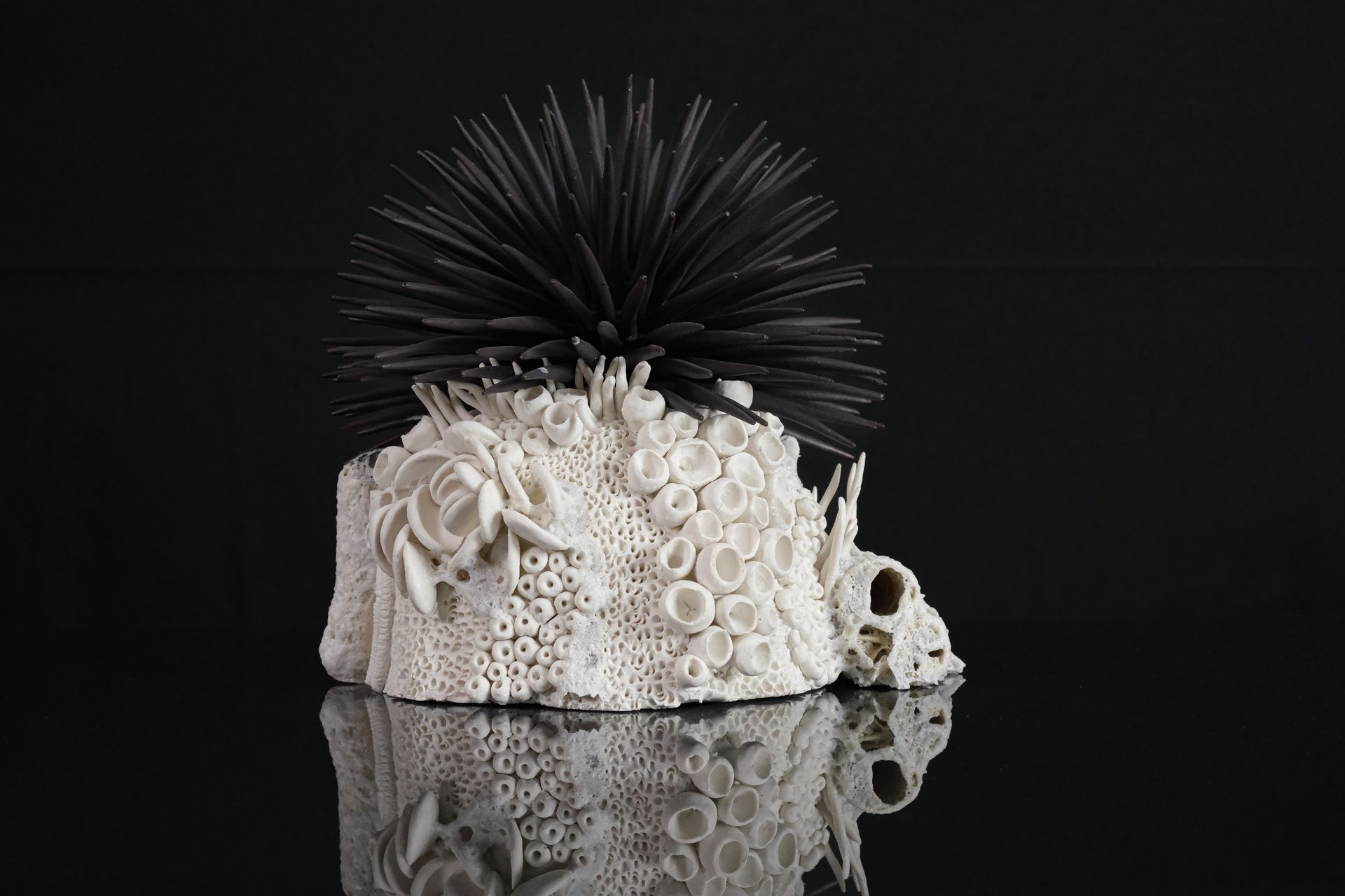 Tucusito Studio Marine Collection