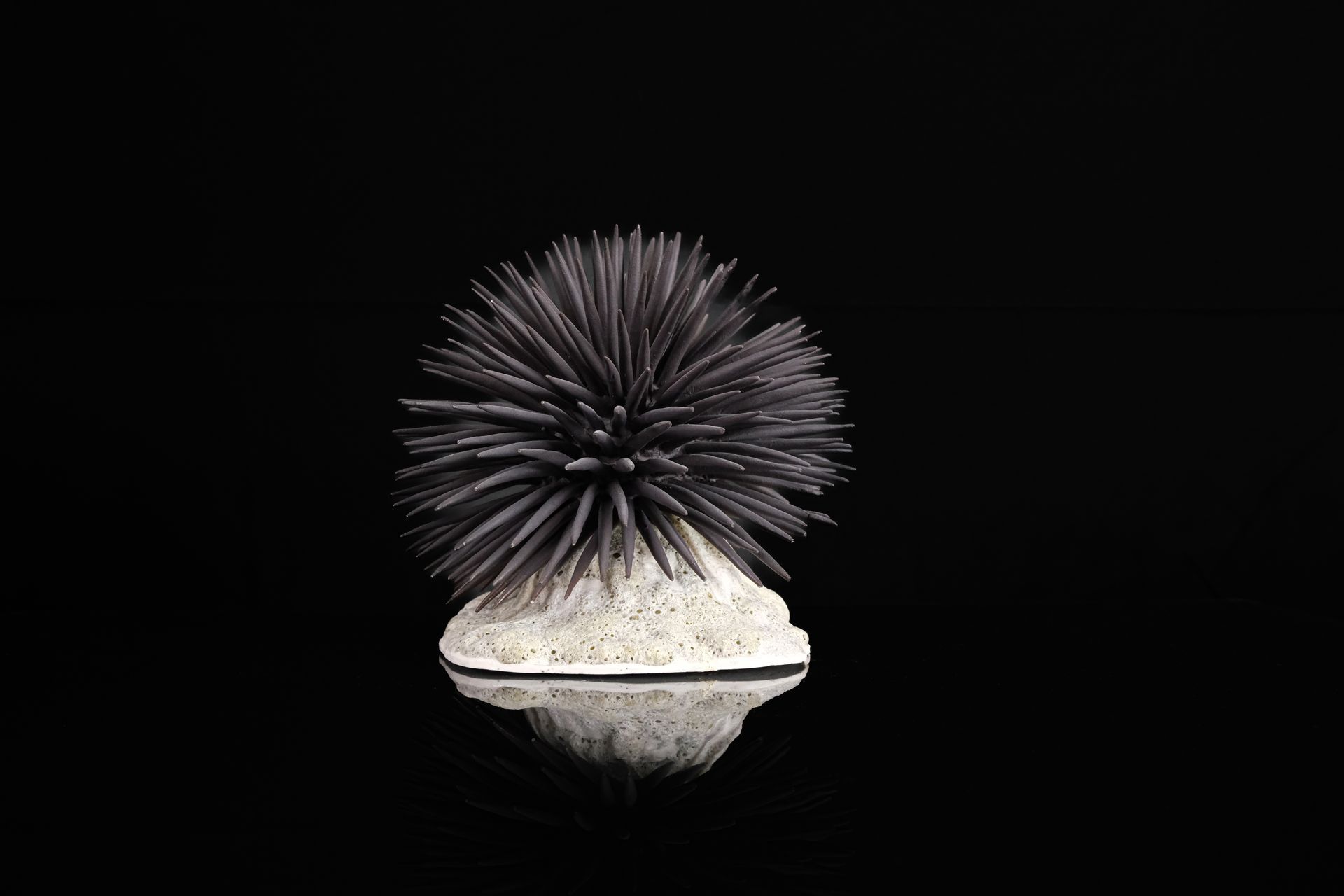 Tucusito Studio Marine Collection
