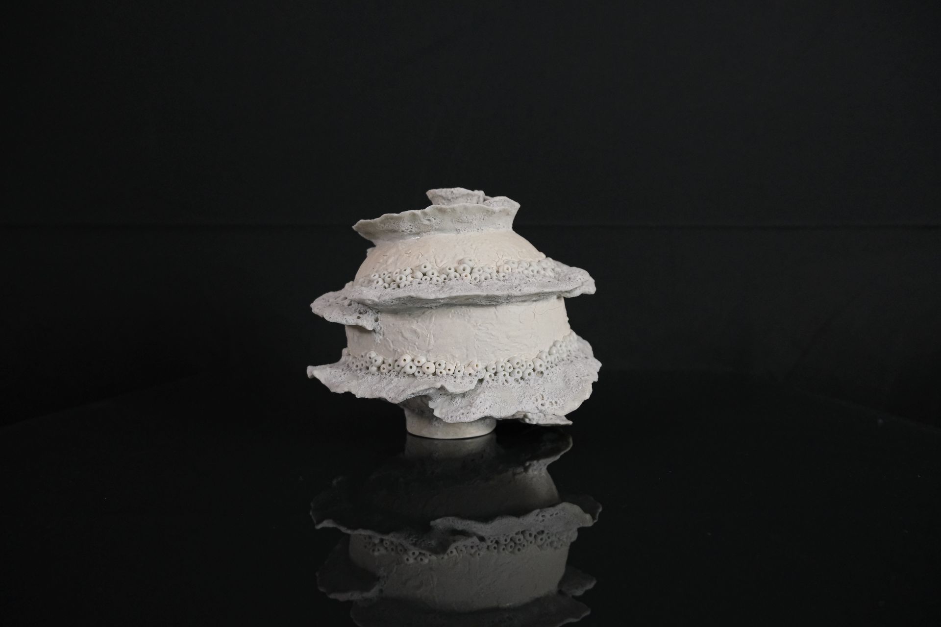 Tucusito Studio Marine Collection