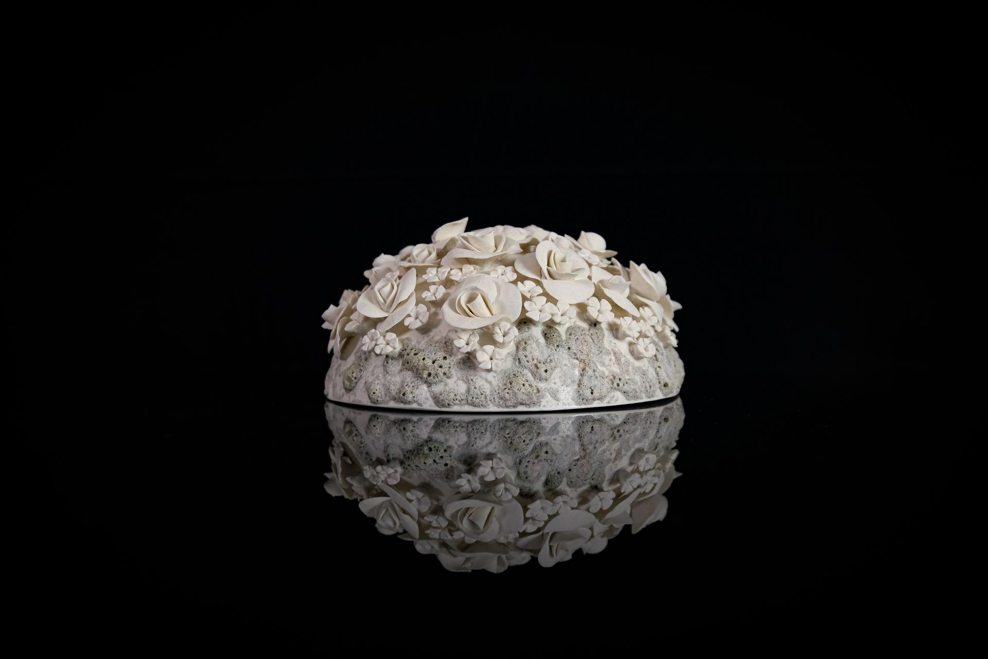 Tucusito Studio Floral Collection
