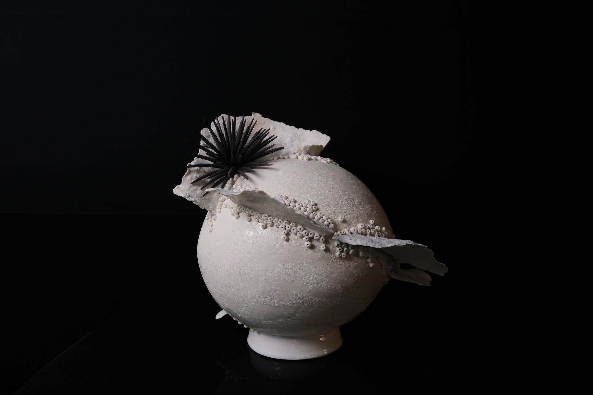Tucusito Studio Marine Collection