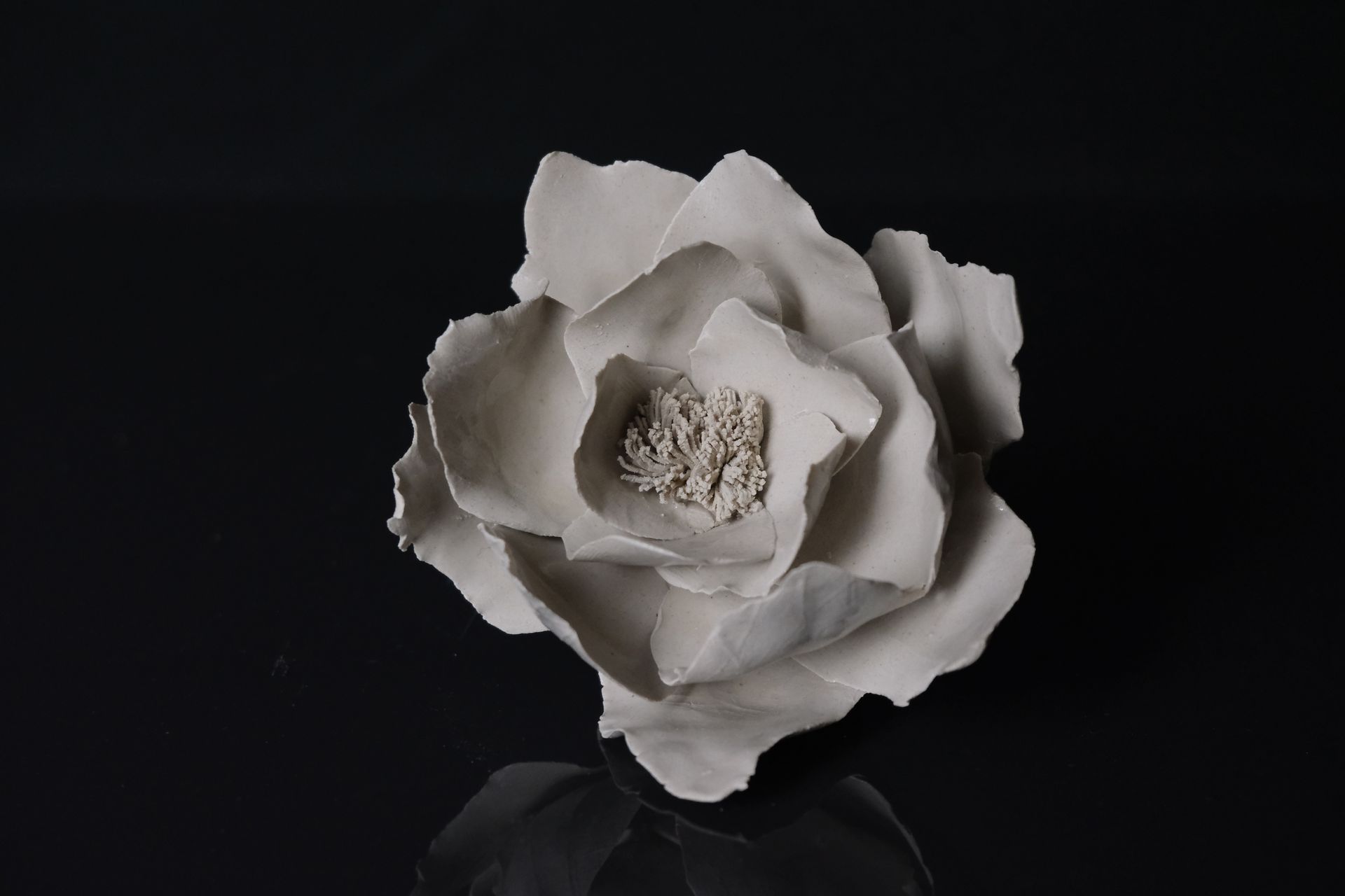 Tucusito Studio Floral Collection