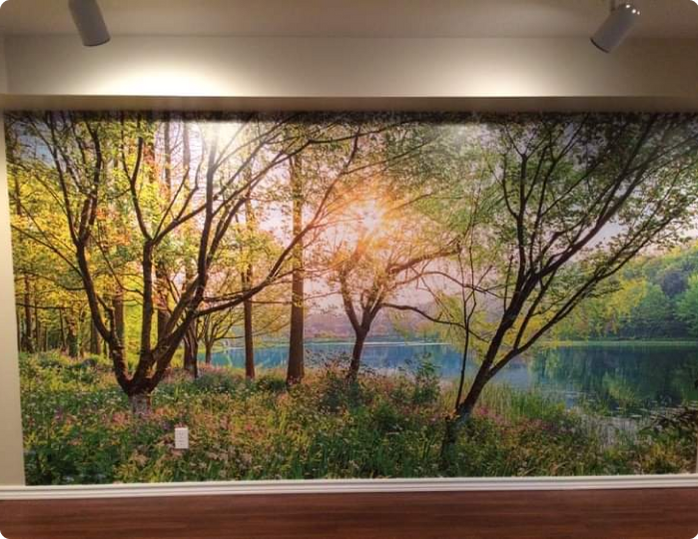 A wall with a picture of trees and a lake