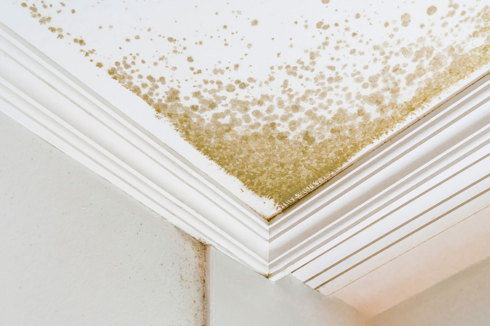 Water-damaged ceiling corner with peeling paint and brown stains