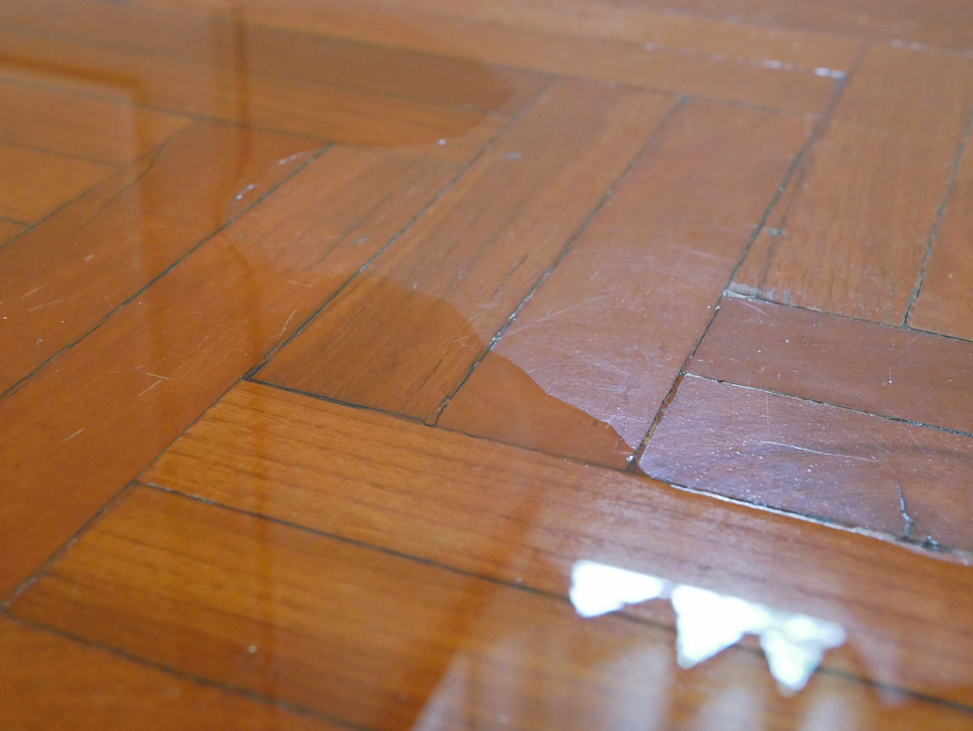 Water-damaged wooden floor with a glossy wet patch and chipped finish