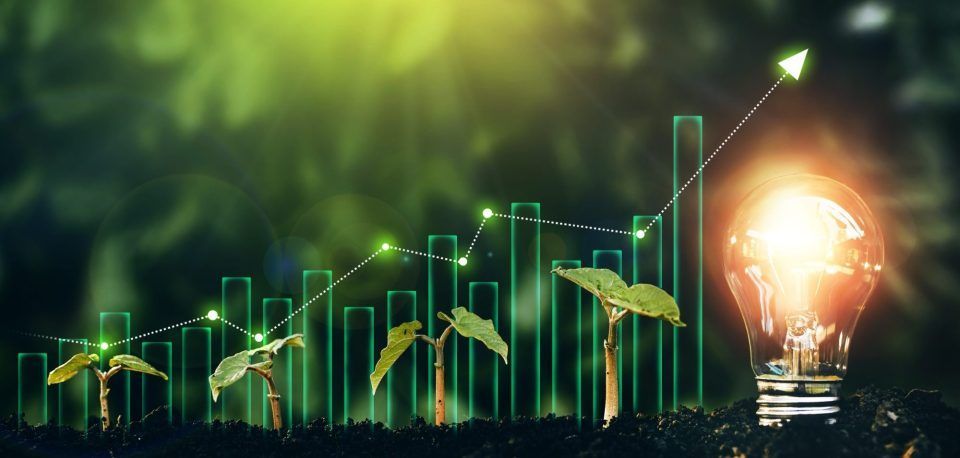 Sprouts growing with a graph, a glowing lightbulb represents growth and new ideas.