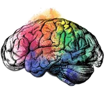 A colorful, watercolor-style illustration of a human brain featuring a spectrum of vibrant hues.
