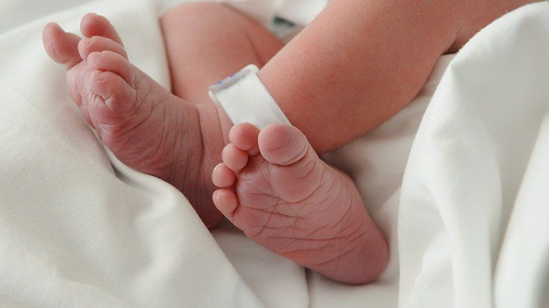 Paternity