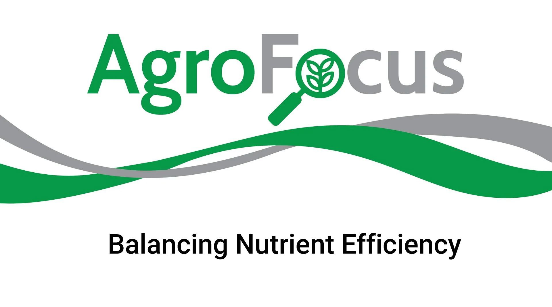 Balancing Nutrient Efficiency