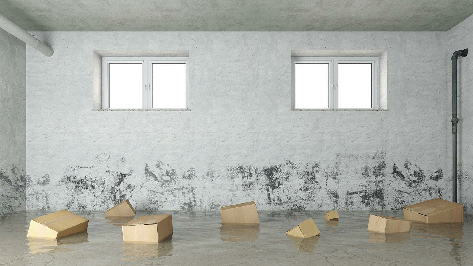 basement full of water