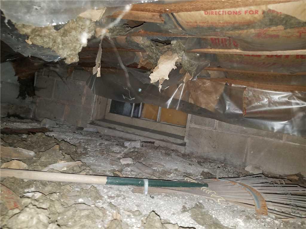 crawlspace cleanup