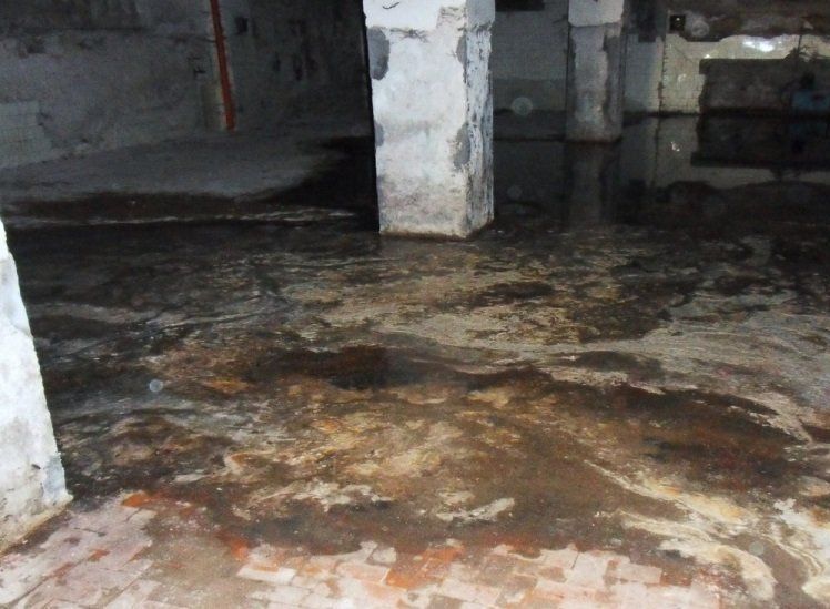raw sewage cleanup
