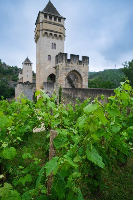 Stone castle tower with battlements behind lush green vines and trees under an overcast sky