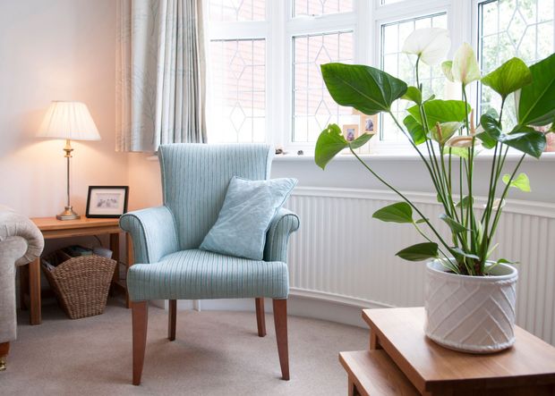 Light Blue Free Standing Accent Armchair – Greenwood Village, CO – Homestead Lending LLC