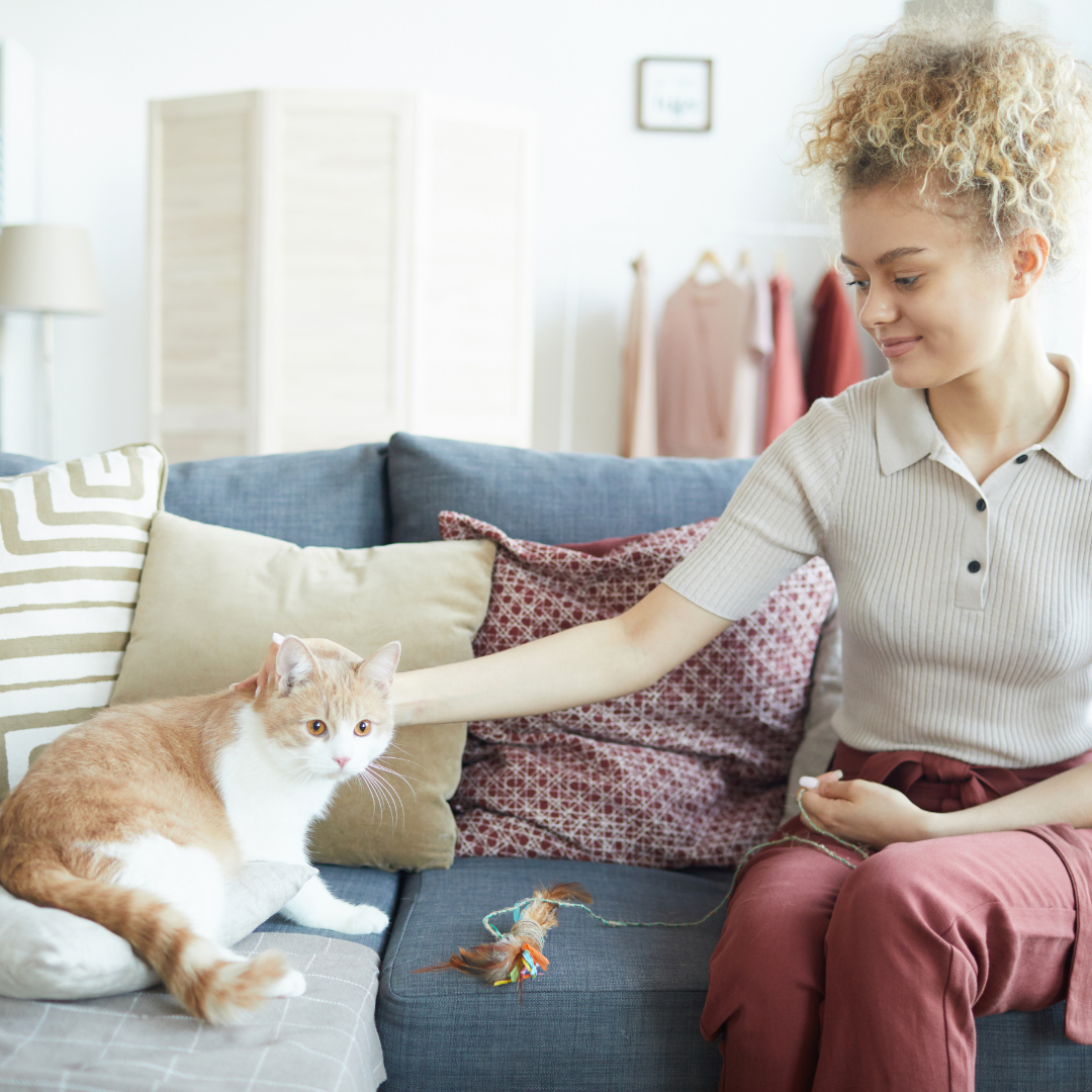 Humane Education Programs