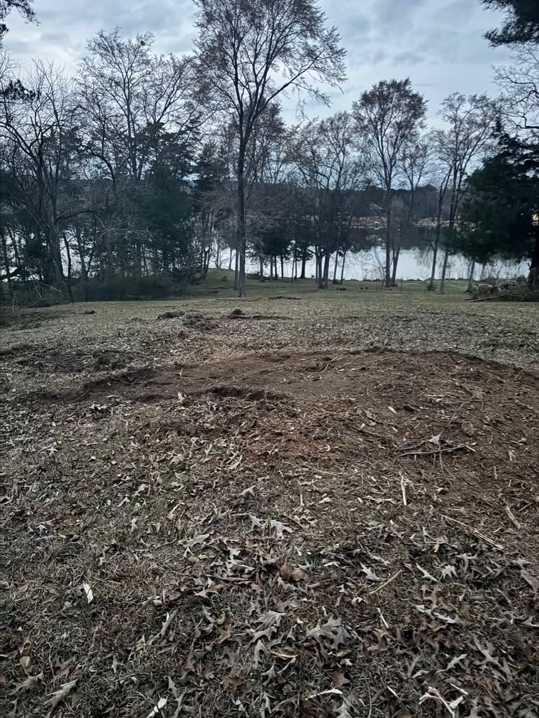 Muddy forest clearing with scattered yellow leaves, bordered by birch and evergreen trees in autumn.