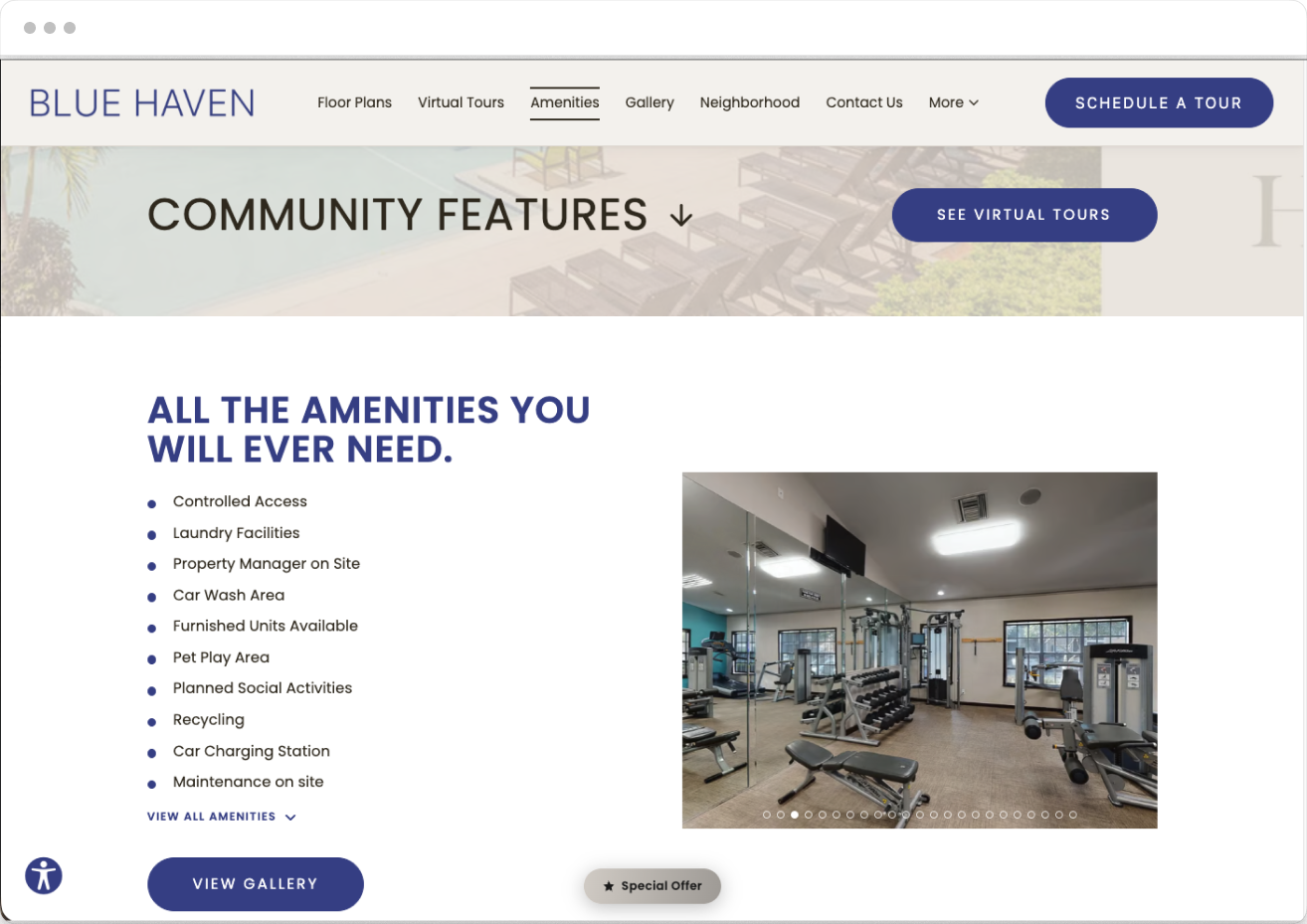 Amenities Page of Blue Haven Property Website Theme