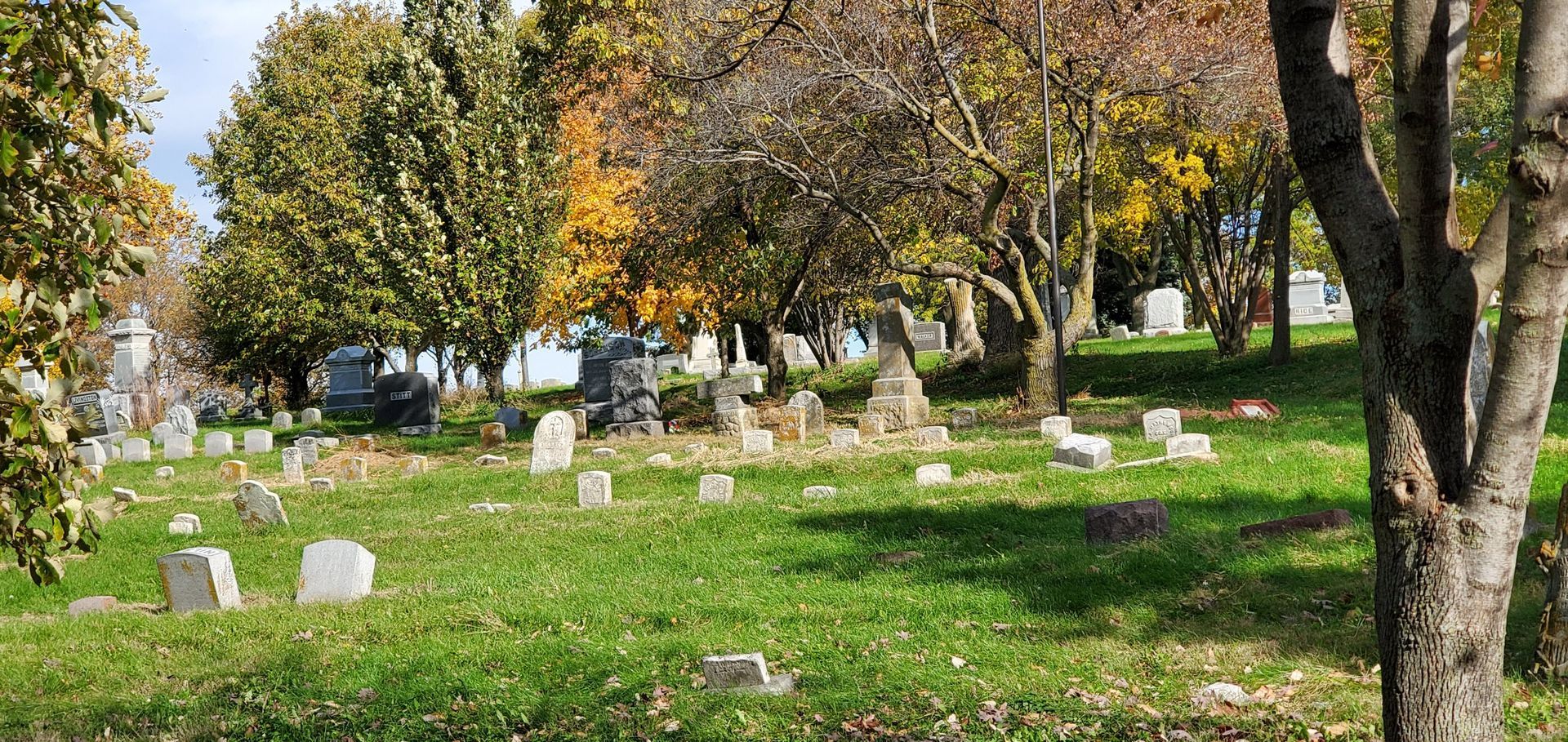 Tombstones at Prospect Hill Cemetery, framed by trees