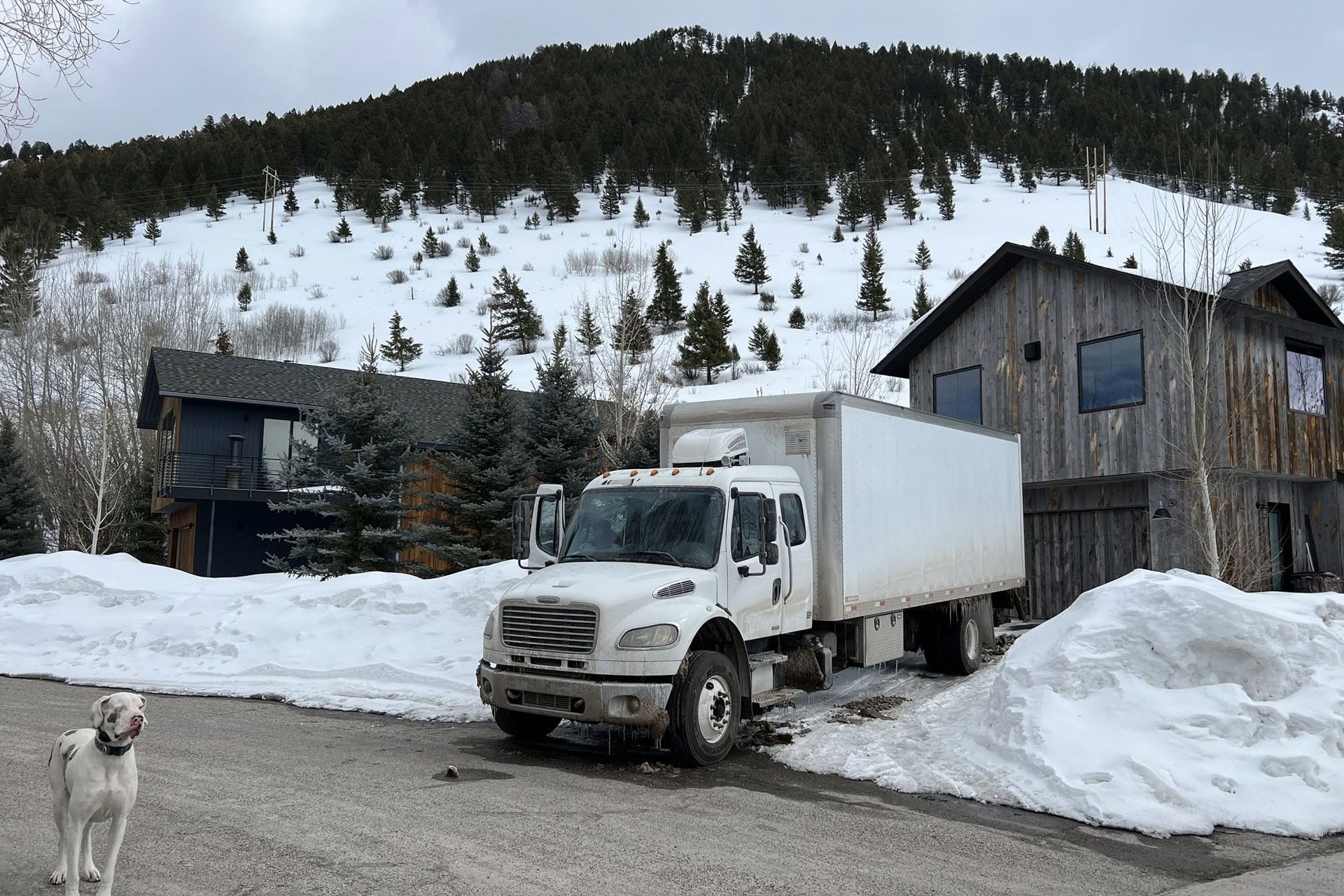 White box truck parked on a snowy rural road beside houses and a hillside, with a small dog in the foreground