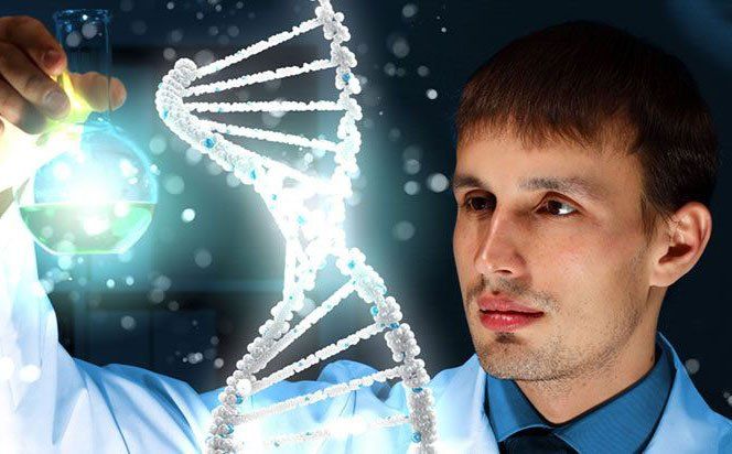 First Protein Innovation Process