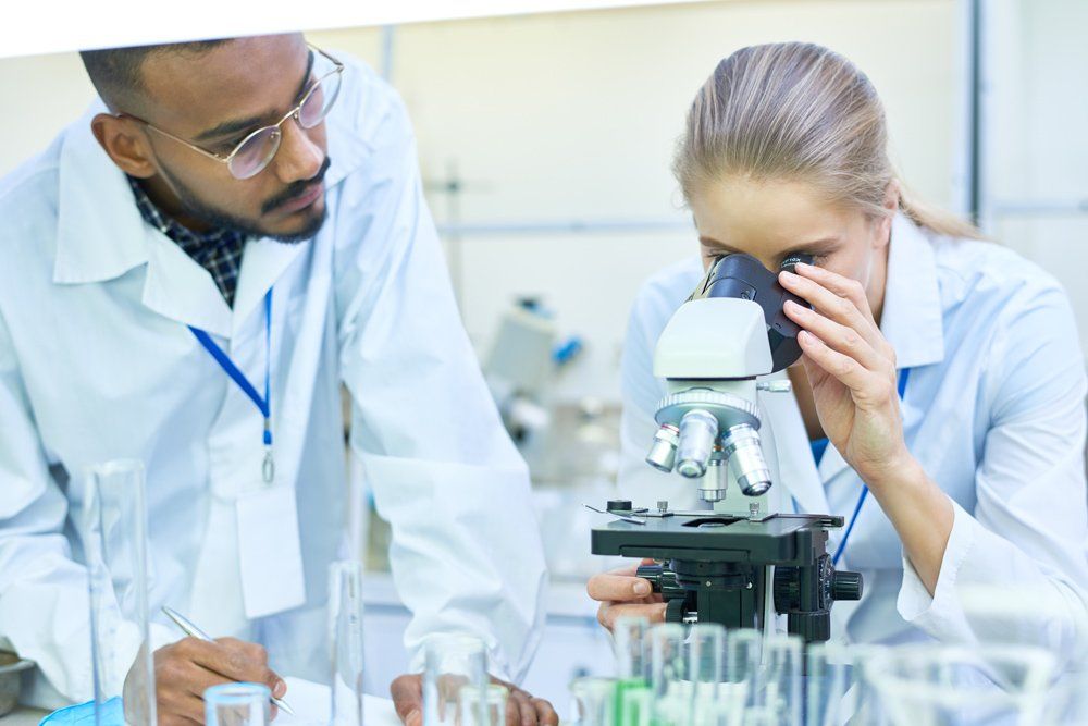 Scientists Doing Research in Lab