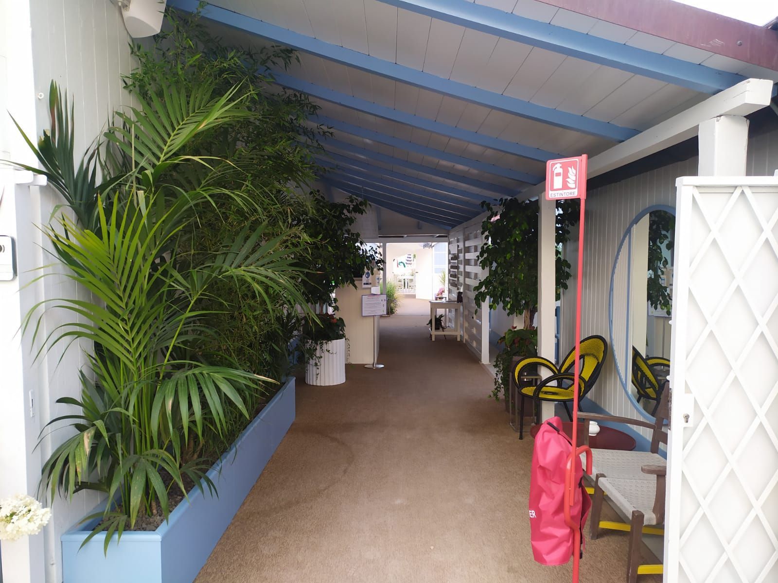 Patio esterno di un locale con tante piante e sedie