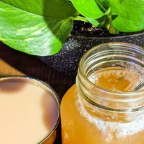 Tea — Flagstaff, AZ — AWA Kava Bar